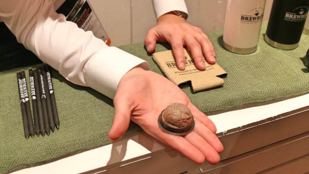 A person holding a pod for brewing cannabis-infused beverages, such as coffee or tea.