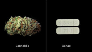 A comparison between Medical marijuana vs Xanax.