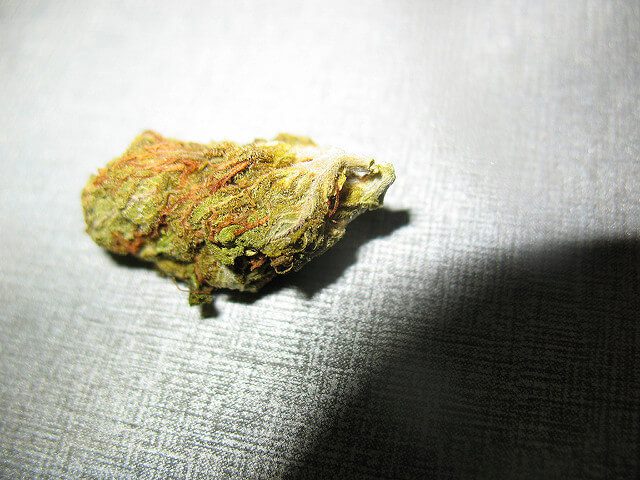 A small piece of marijuana, showcasing its aromatic flavors, resting on a shiny silver surface.