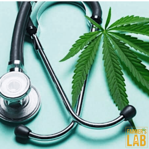 A stethoscope next to a marijuana leaf.