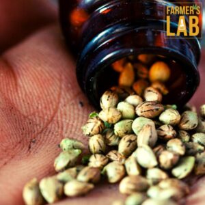A person holding a bottle of hemp seeds.