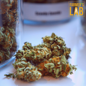 Farmer's lab cbd oil.