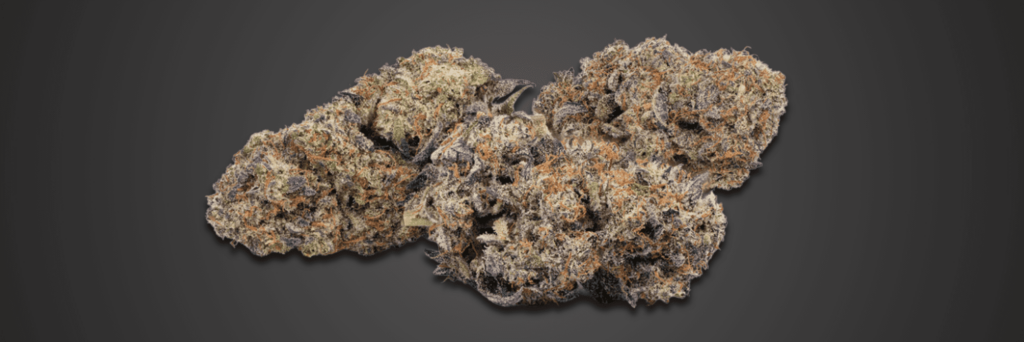 A cannabis buds with visible trichomes and a range of colors that suggest maturity and a high quality of the flower.