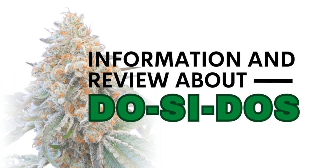 Information and review about do-sidos.