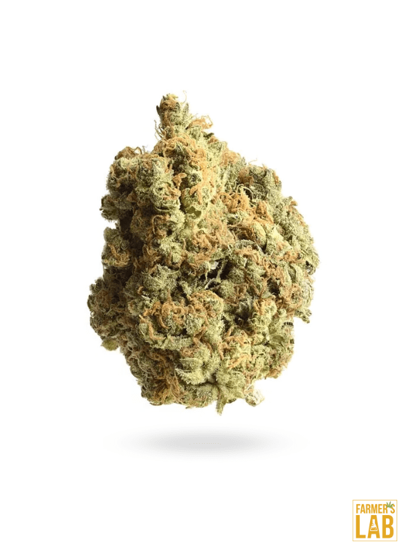 An AK Autoflower CBD-12 marijuana flower on a white background, priced at $89.