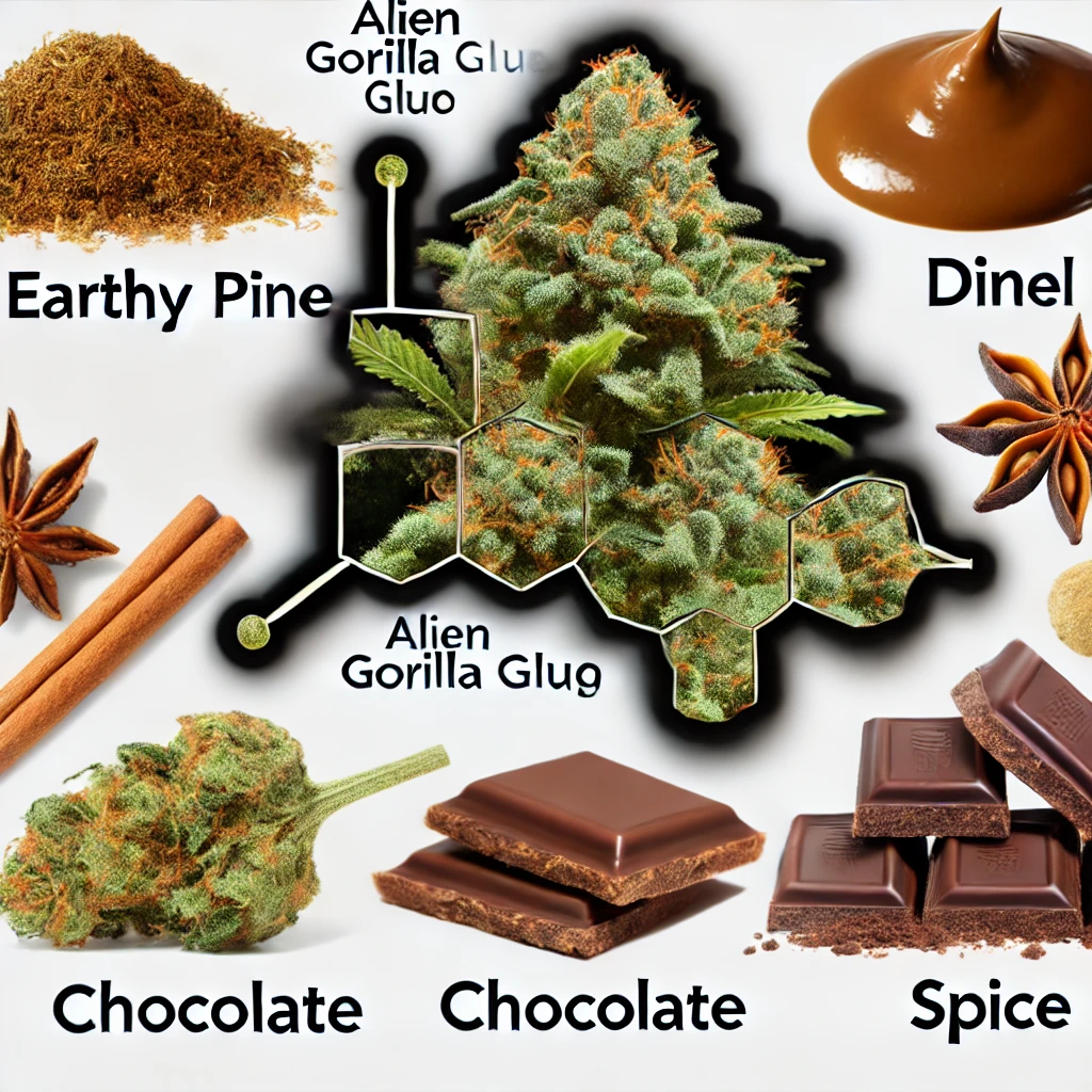 An arrangement featuring an Alien Gorilla Glue Feminized Seeds cannabis bud in the center, surrounded by spices, chocolate, and caramel, highlights its earthy, pine, and chocolate flavor profiles.