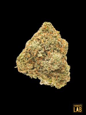 Buy Colombian Gold Autoflower Seed 