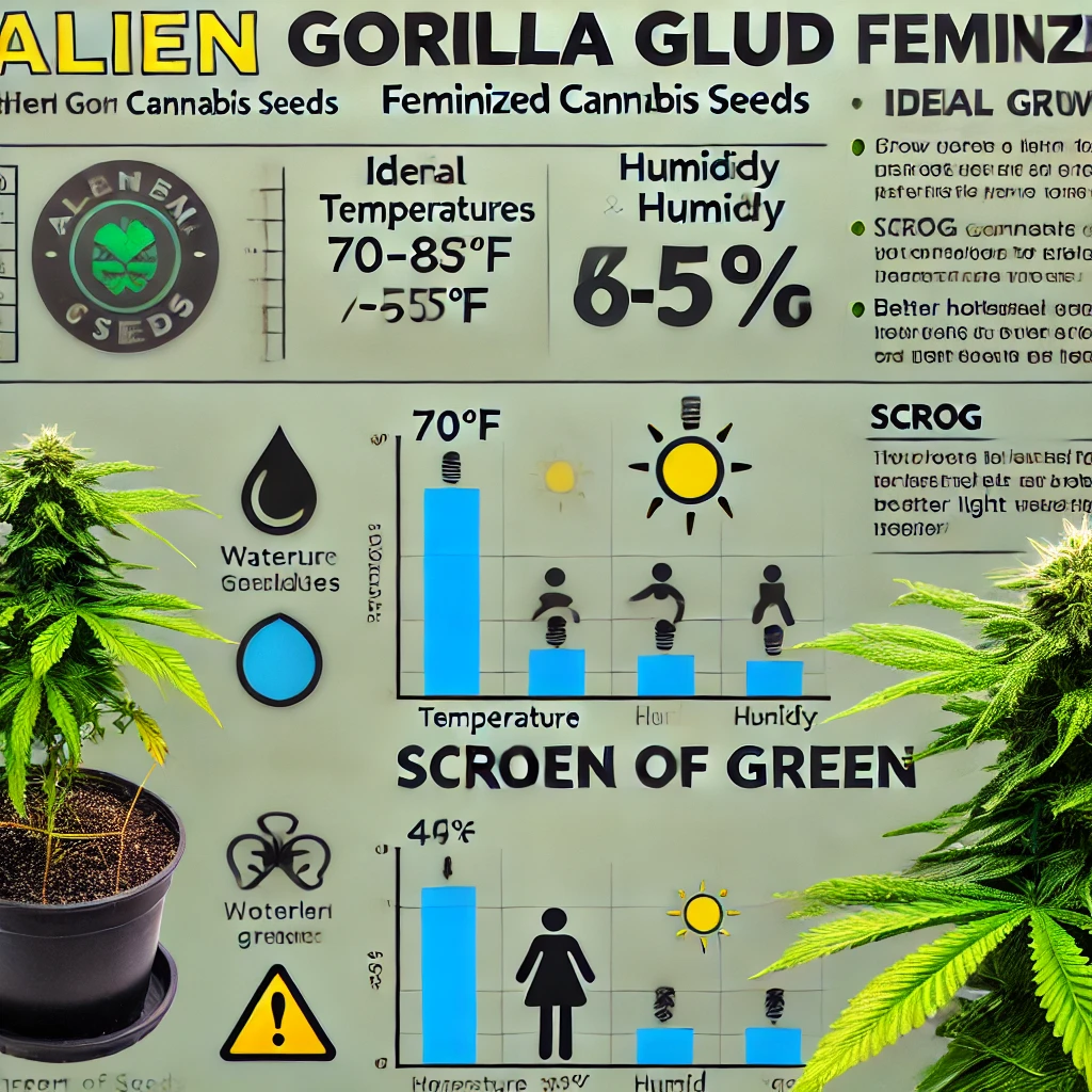 Infographic on growing Alien Gorilla Glue Feminized Seeds, featuring optimal temperature and humidity conditions, watering methods, and lighting strategies, enhanced with engaging visuals of cannabis plants and graphics.