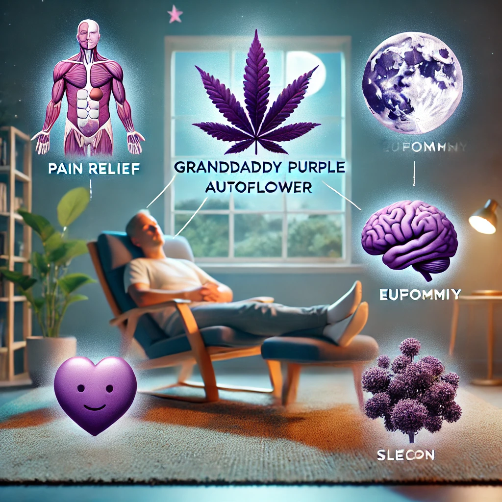 A person sits on a chair inside a house, surrounded by icons, including a cannabis leaf labeled "Grandaddy Purple Autoflower Seeds" and symbols representing pain relief, euphoria, and relaxation.