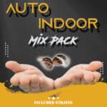 Auto Indoor Mix Pack