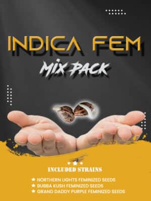 Indica Fem Mix Pack