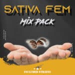 Sativa Fem Mix Pack