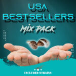 USA Bestsellers Mix Pack