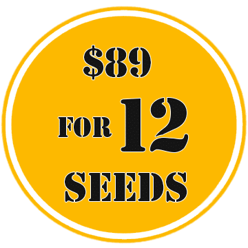 $89 for 12 seeds.