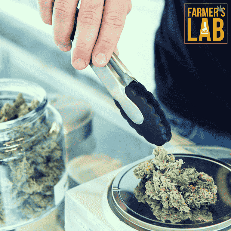 A person's hand using tongs to handle cannabis buds, with a glass jar open nearby and a scale in the foreground.