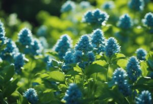 Understanding Blue Dream Cultivation