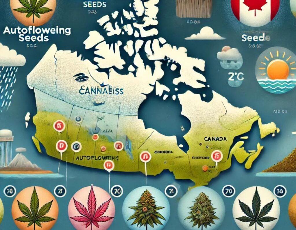 Illustrated map of Canada highlighting cannabis regions with images of seeds and plants, weather icons depicting the Canadian climate, and a Canadian flag in the top right corner.